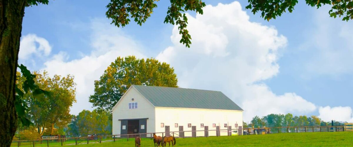 A barn with horses in Lexington, KY.